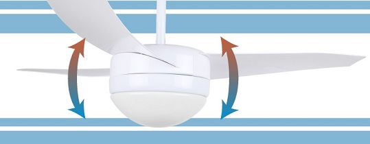 ventilador de techo Obergozo cp88105